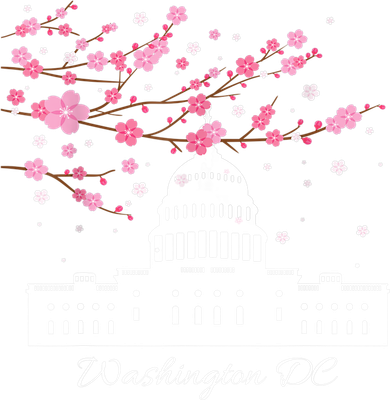Washington DC Capitol Building Cherry Blossoms TShirt Kids T-Shirt