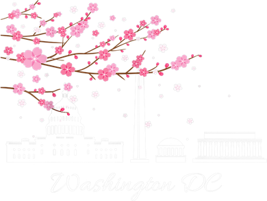 Washington DC Cherry Blossoms Monuments Memorials TShirt Kids Hoodie