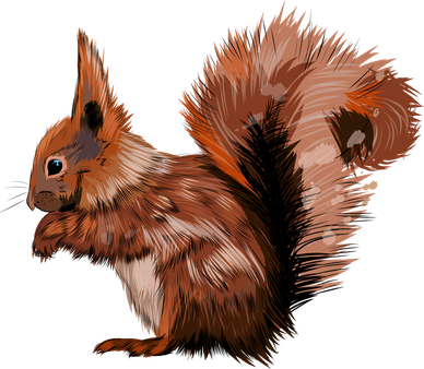 Watercolor Eurasian Red Squirrel Toddler Hoodie