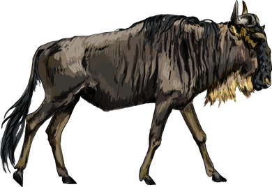 Wildebeest From A Splash Toddler Hoodie