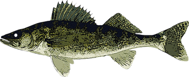 Walleye Fish Pickerel Fishing Lover Fisherman Ornament