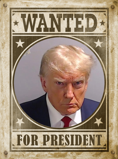 Wanted For President Funny Donald Trump Mugshot T-Shirt