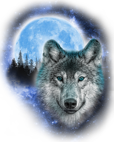 Cosmic Wolf  Button