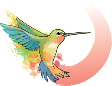 Watercolor Hummingbird Women's Hoodie