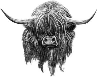 Wee Hamish The Scottish Highland Cow Cool Gift Toddler T-Shirt