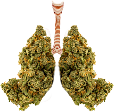 Pot Lungs Ceramic Ornament