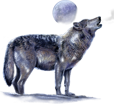 Moon Wolf Doggie Tank