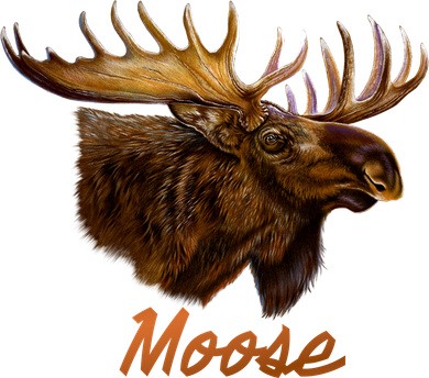 Wildlife - Moose Head Portrait Women's Tank Top