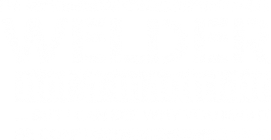 I'm A Welder Not A Magician Hoodie