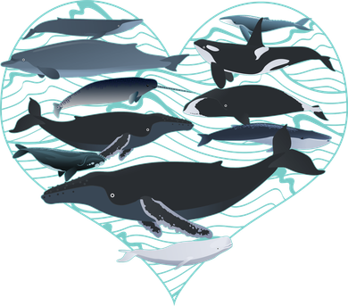 Whale Lover Save The Whales Women's Sweatshirt