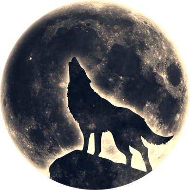 Wolf Moon Fantasy Wild Dog Wolves Coffee Mug