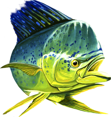 Wildlife - Mahi Mahi Hooded Wearable Blanket