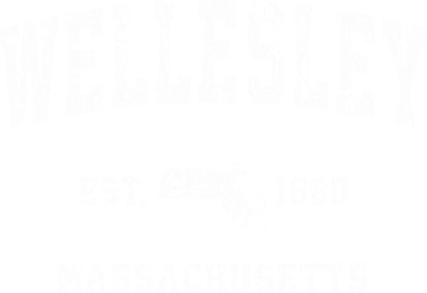 Wellesley Massachusetts Ma Vintage Athletic Sports Design Gift Kids T-Shirt