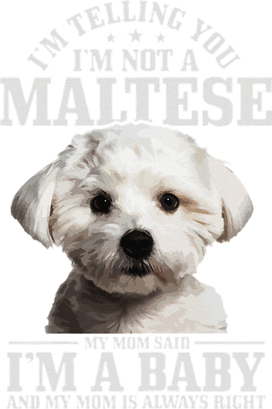 Womens Maltese Mom Said Im A Baby Funny Maltese Dog Kids T-Shirt