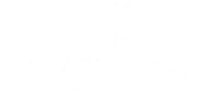 Walking My T-Rex Coaster