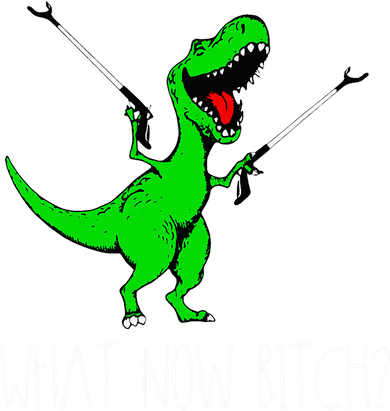 What Now Bitch Funny T Rex Dinosaur Hat