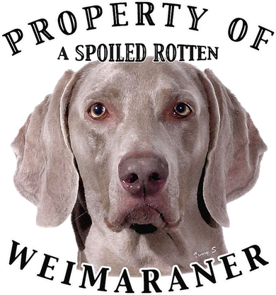 Weimaraner Owner Funny Weimaraner Property Of Cute Dog Flat Bill Trucker Hat