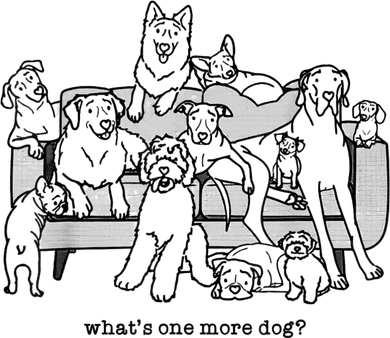 What's One More Dog, Funny Group Dogs, Many Dogs, Funny Dogs Kids T-Shirt
