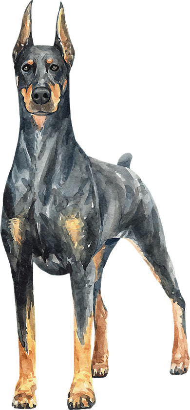 Watercolor Portrait Doberman Pinscher For Dog Owners Bucket Hat