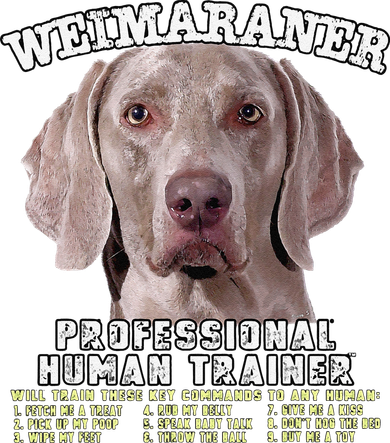 Weimaraner Professional Human Trainer Cute Dog Polo