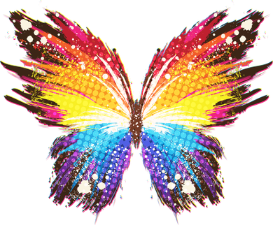 Wildly Painted Rainbow Butterfly T-Shirt