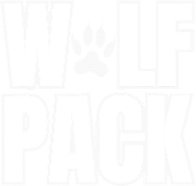 Wolf Pack Sport Teams Kids T-Shirt