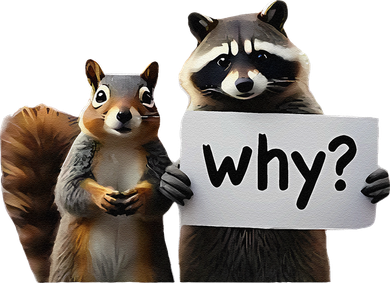 Why Peanut The Squirrel & Fred The Raccoon Kids Hoodie