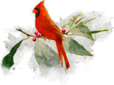 Wild Red Cardinal Bird Hat