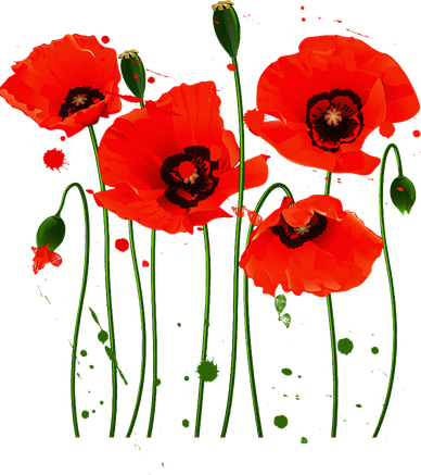 Watercolor Red Poppy Flower Gardening Plants Lover Gift Toddler Hoodie