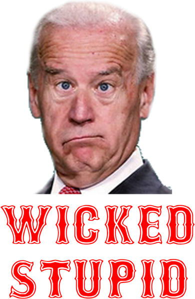 Wicked Stupid Funny Joe Biden Boston Kids Long Sleeve Shirt