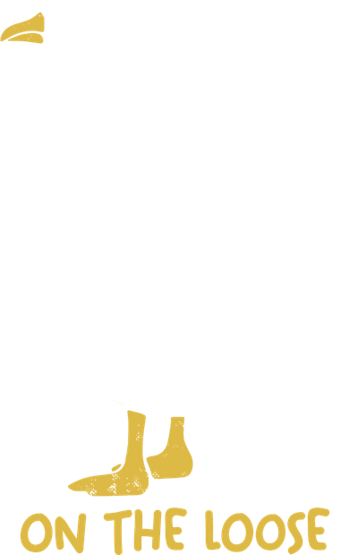 Worlds Silliest Goose On The Loose Women's T-Shirt
