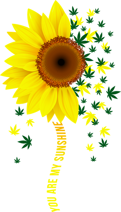 Weed Flower You Are My Sunshine Kids T-Shirt