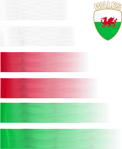 Welsh Soccer Jersey Wales Football Wales Flag Women's Long Sleeve Shirt