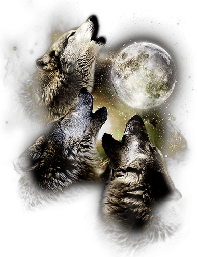 Wolf Shirt Three Wolves Moon Wolf Moon Doggie Tank