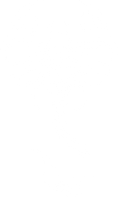White Scorpion Coffee Mug