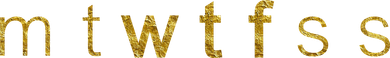 Limited Edition mtWTFss Days of the Week WTF Gold Print Toddler T-Shirt
