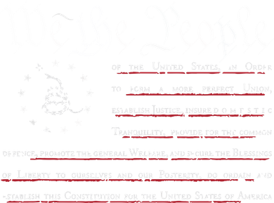 We The People Gadsden USA Flag Preamble Of The Constitution Women's T-Shirt