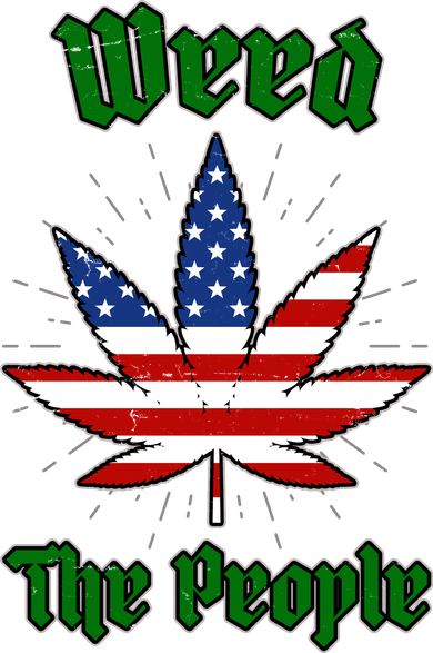 Weed The People Marijuana Usa Flag Funny Kids Hoodie