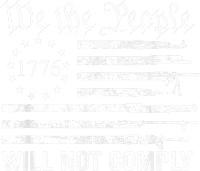 We The People Will Not Comply Funny USA Patriotic Gun Flag Toddler Long Sleeve