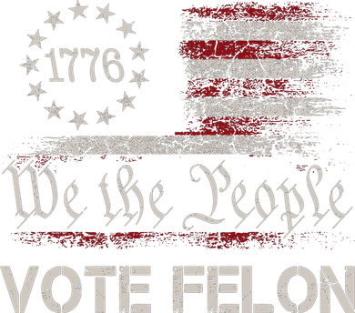 We The People Vote Felon Funny 1776 Button