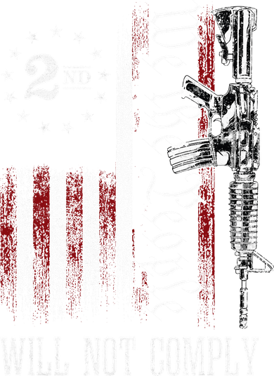 We The People Will Not Comply Ar15 Progun Rights 2a Kids Hoodie