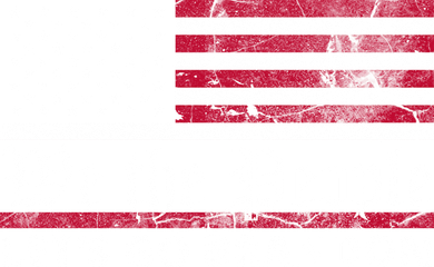 We The People Let's Go Brandon Patriotic Women's Sweatshirt