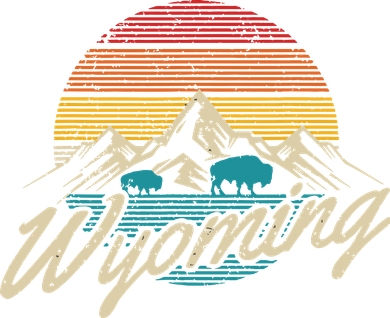 Wyoming Vintage Mountains Bison American Buffalo Gift Women's Sweatshirt