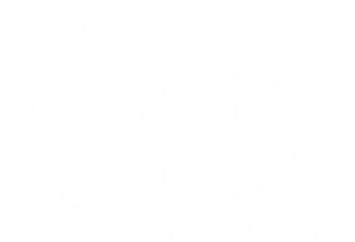 WTF Where's The Fish Baby Bodysuit