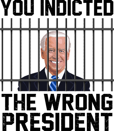 You Indicted The Wrong President Joe Biden Funny Beanie