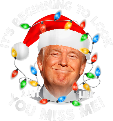 You Miss Me Trump Anti Biden Family Christmas Pajamas Toddler T-Shirt