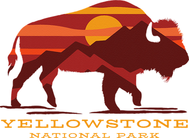 Yellowstone National Park Wyoming Buffalo Bison Sunset Women's Sweatshirt