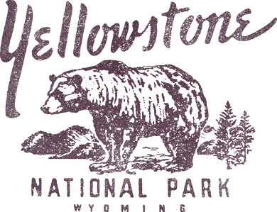 Yellowstone National Park Bear Coaster