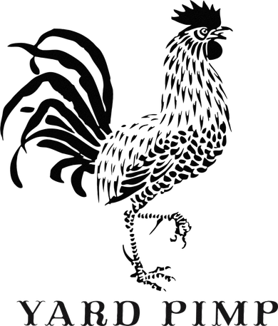 Yard Pimp Rooster King of the Barnyard Coffee Mug