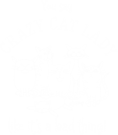 You Say Crazy Cat Lady Like ItS A Bad Thing Meaningful Gift Kids Hoodie